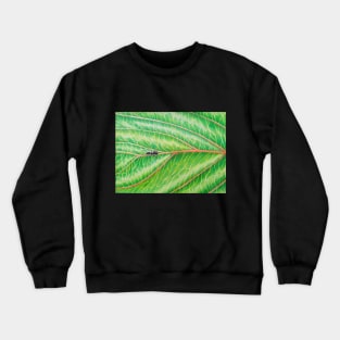 Ant on Leaf of a Chinese Plum Tree Crewneck Sweatshirt